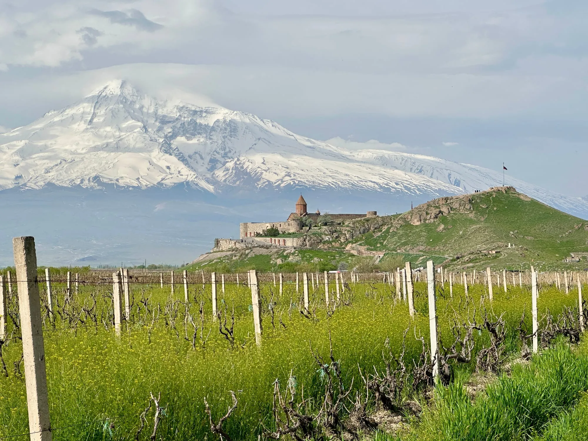 Das Kloster Chor Wirap auf einem grünen Felsrücken vor dem schneebedeckten Ararat, im Vordergrund ein Weinberg.