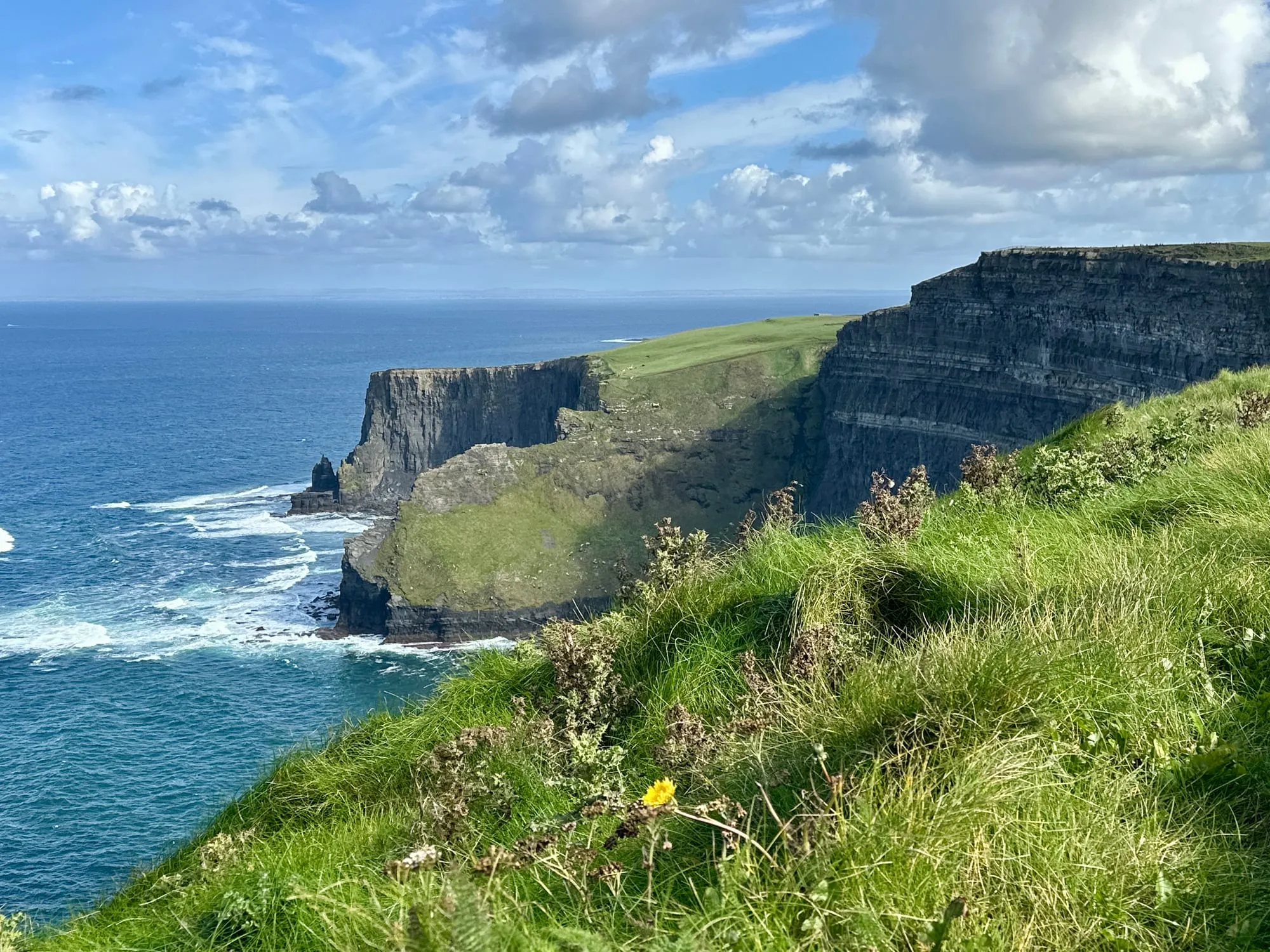Die Cliffs of Moher fallen senkrecht in den Atlantik ab, im Vordergrund Gras, in der Bucht ein freistehender Felsturm.