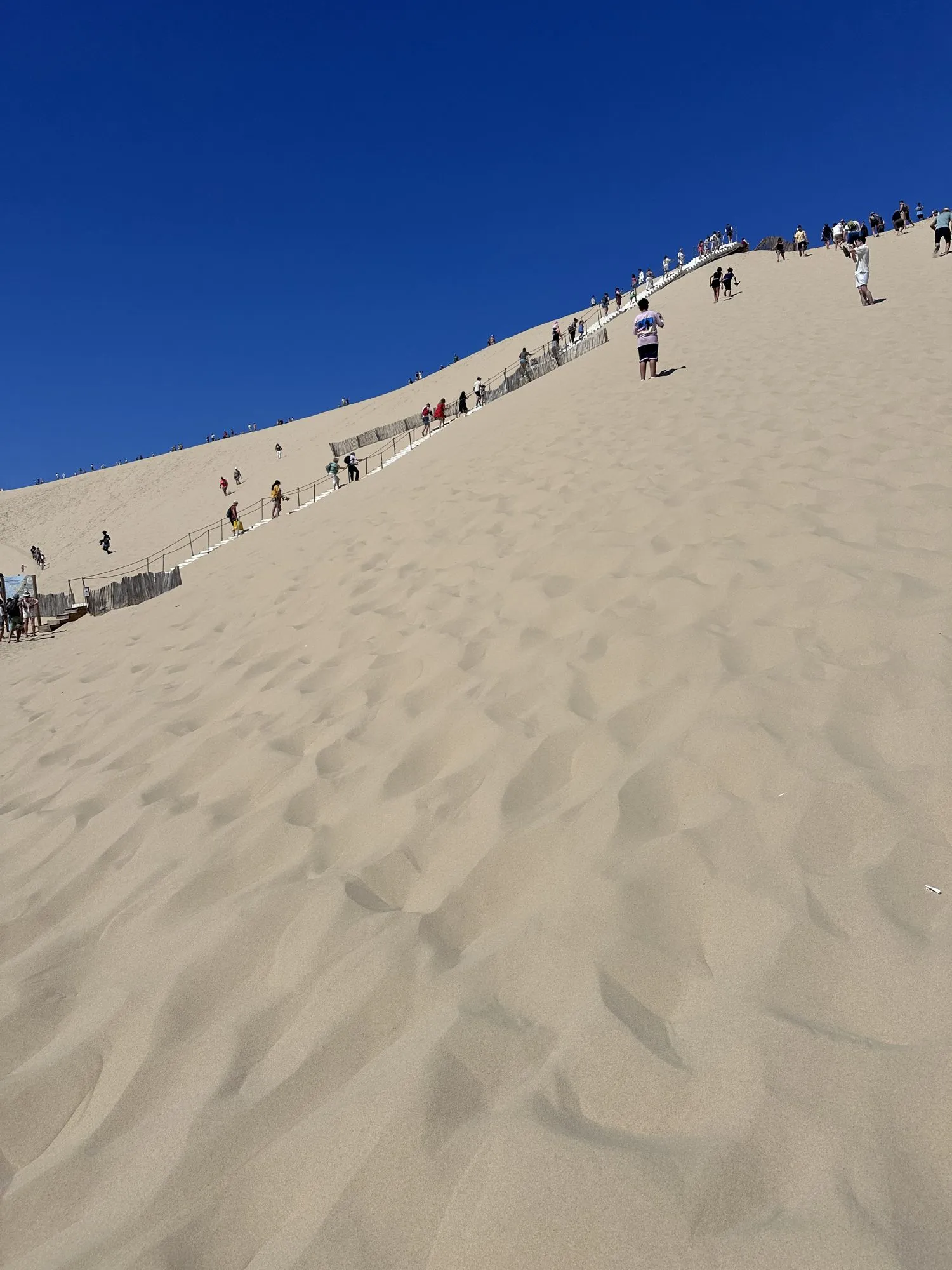 Menschen auf dem Sandkamm der Dune du Pilat