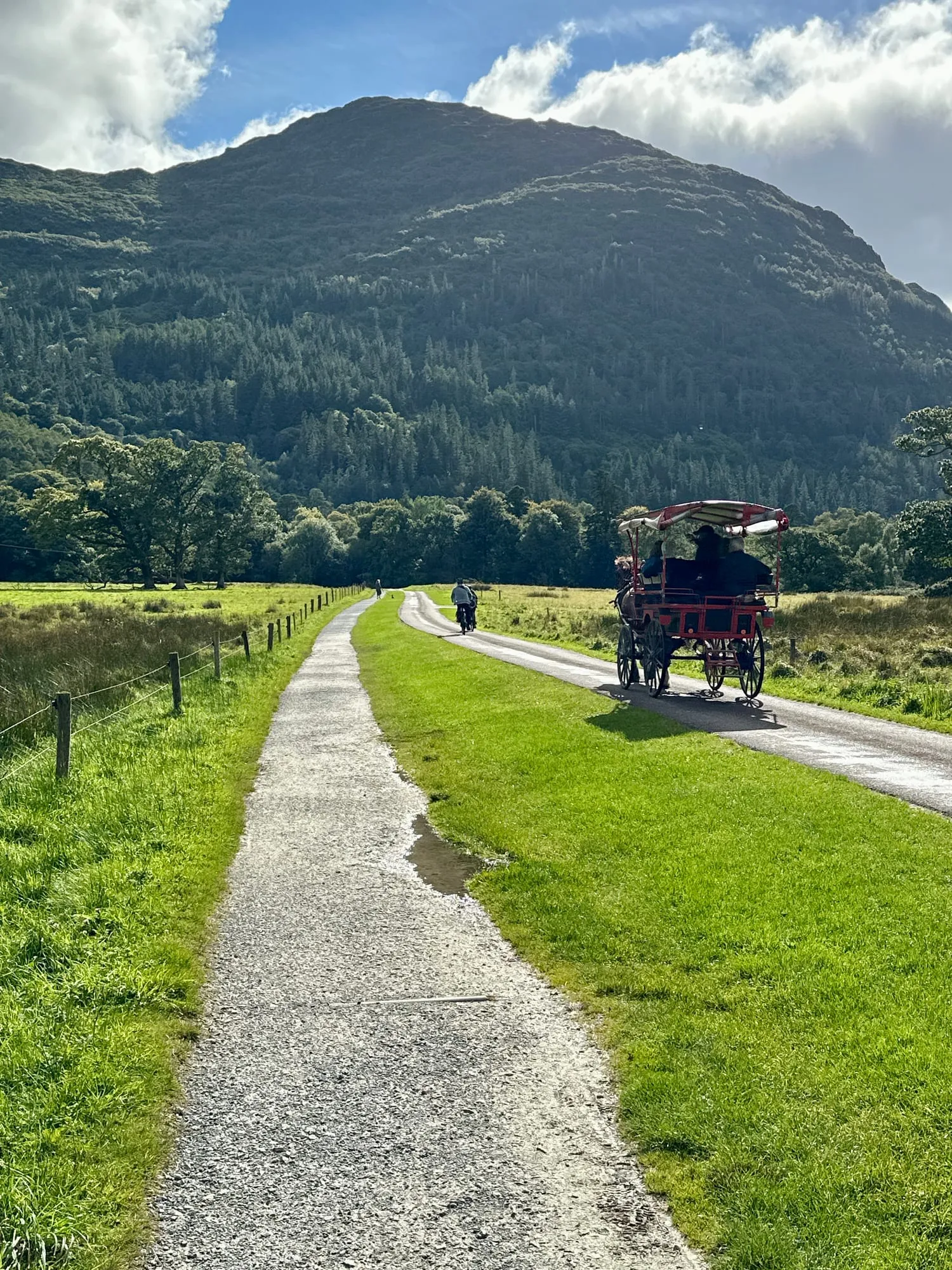 Offene Pferdekutsche auf einer Strasse im Killarney-Nationalpark, dahinter bewaldete Berghänge.