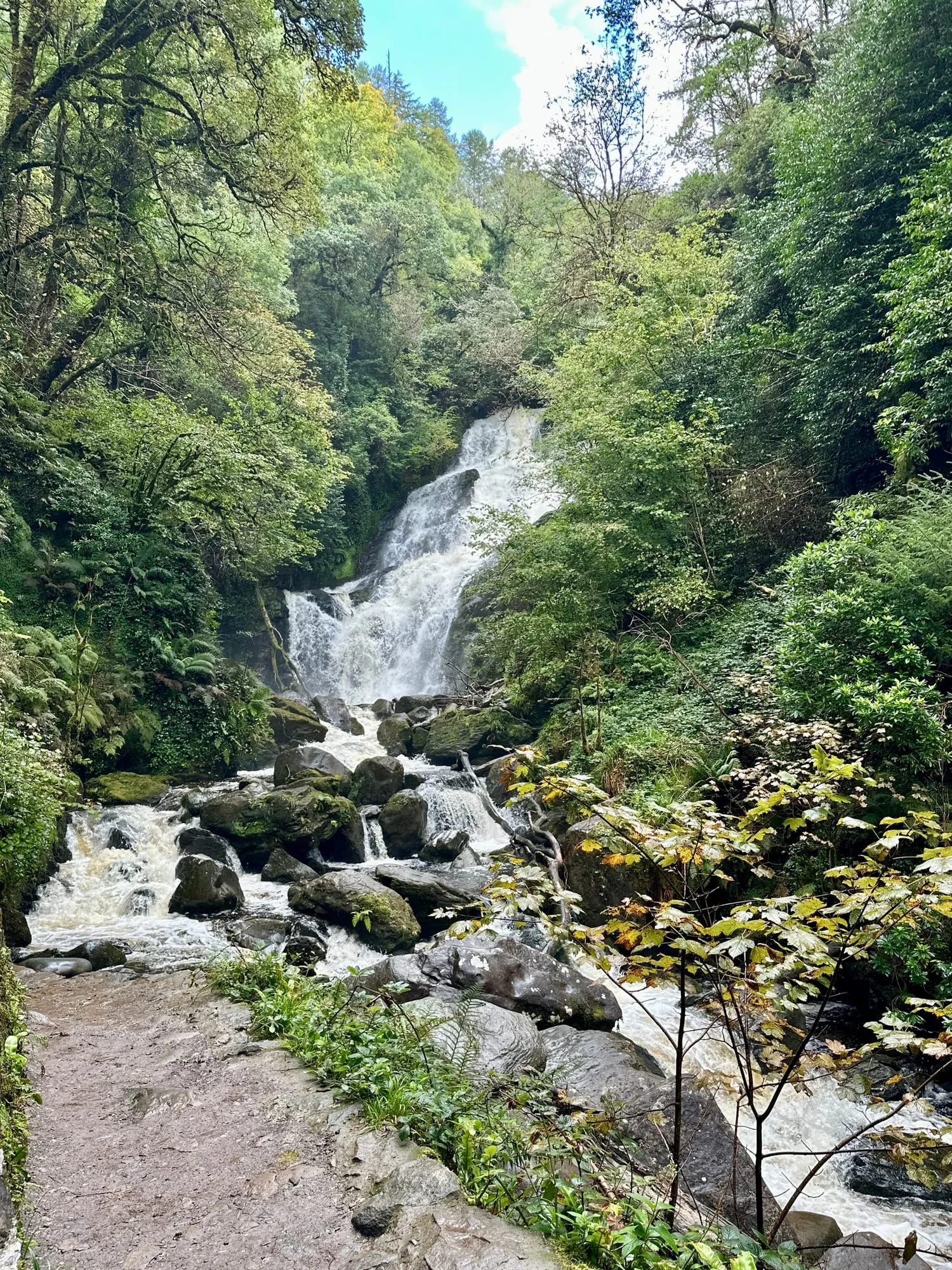 Der Torc Waterfall stürzt über bemooste Felsstufen durch dichten Wald.