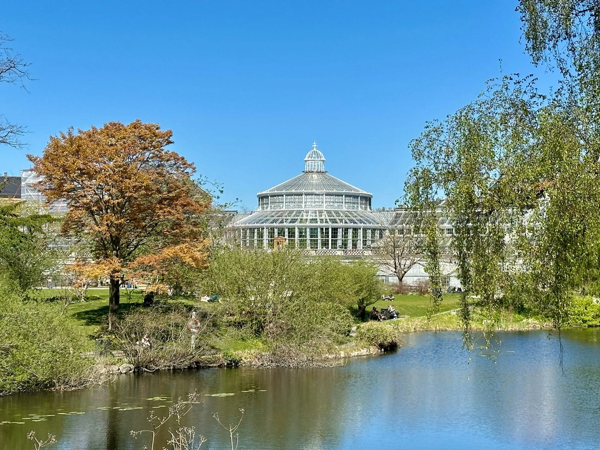 Palmenhaus im Botanischen Garten Kopenhagen hinter einem See mit Herbstbäumen.