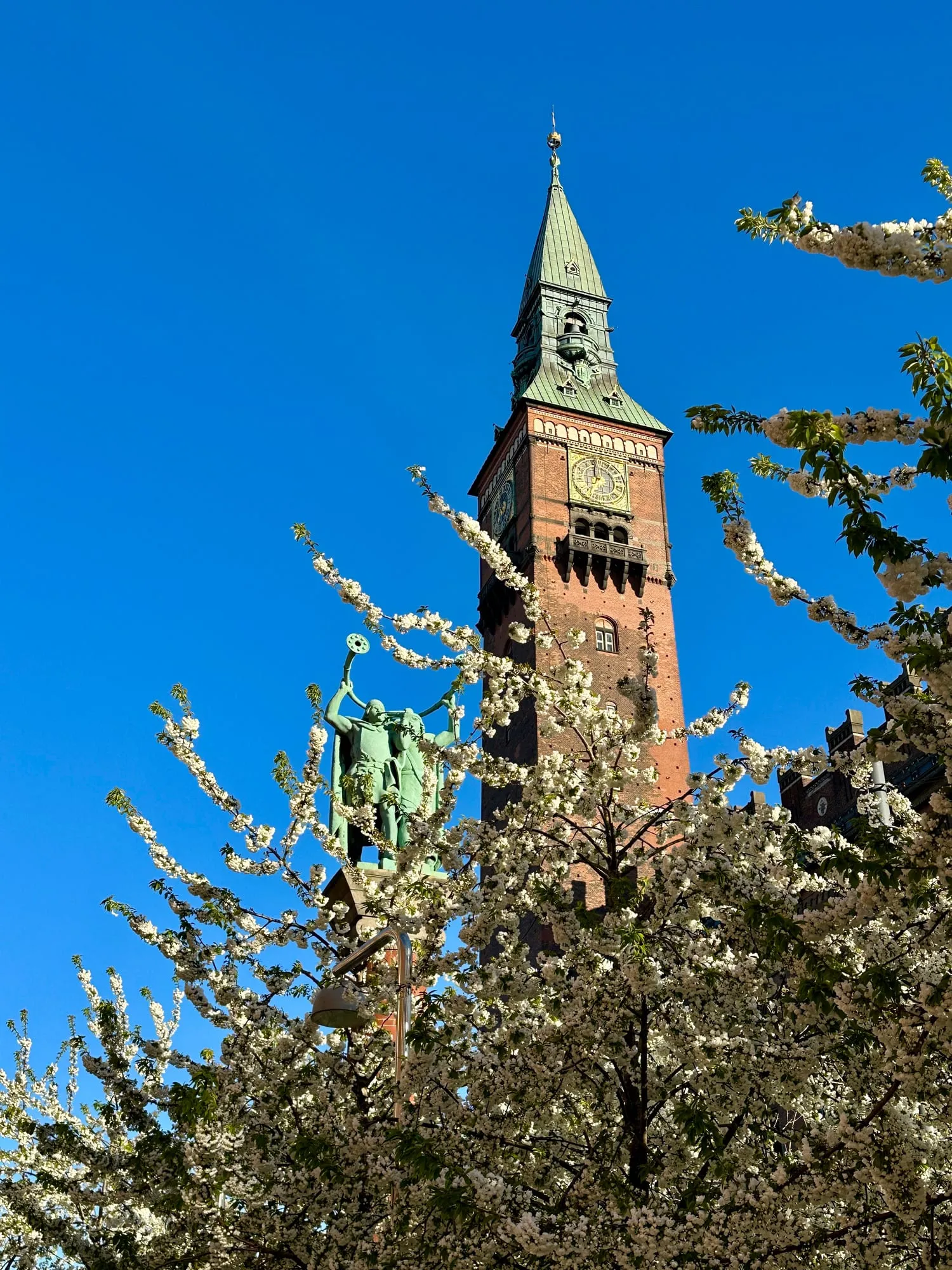 Turm des Kopenhagener Rathauses hinter blühenden Zweigen.
