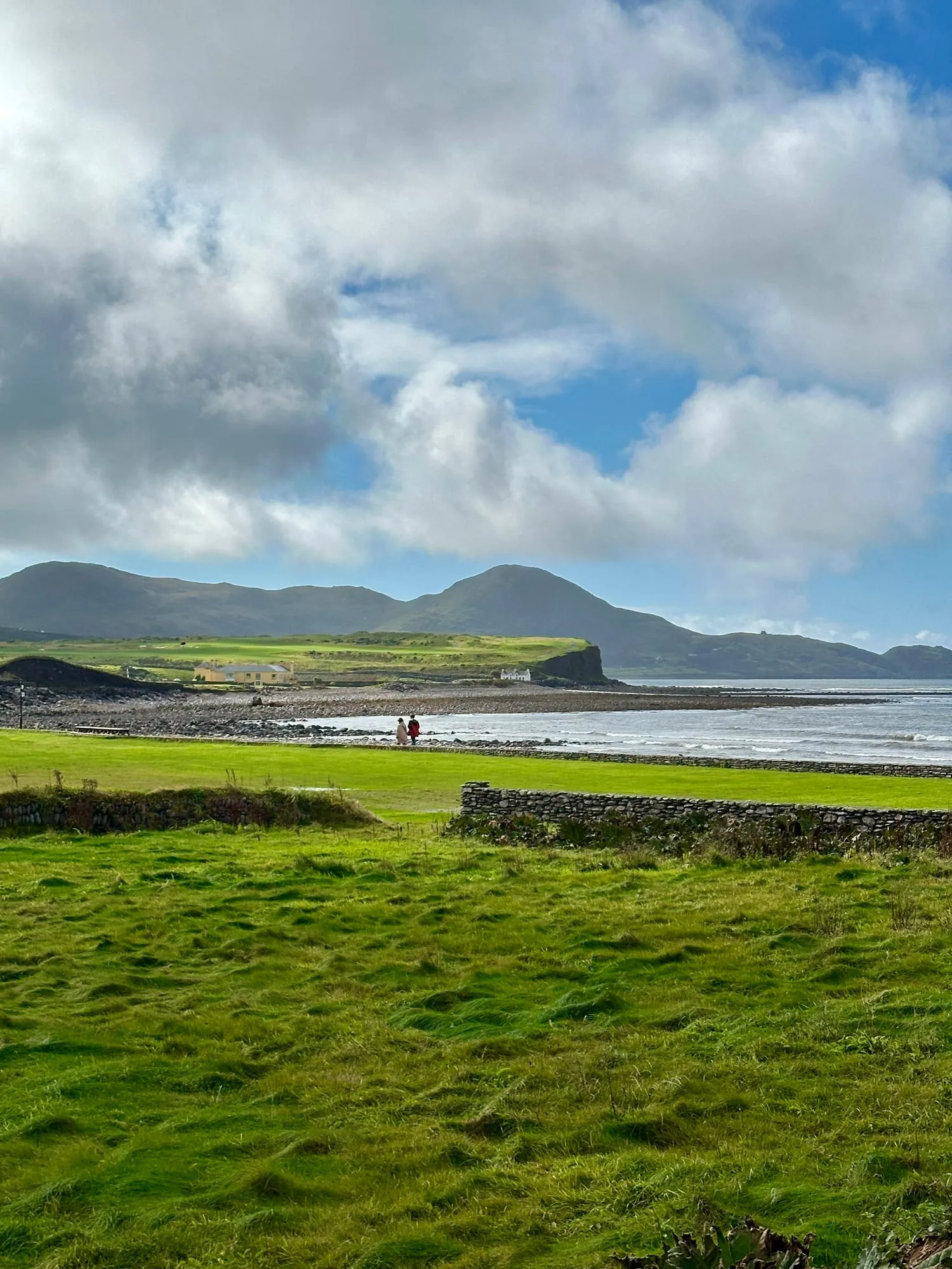 Blick über eine Bucht am Ring of Kerry mit Weiden im Vordergrund und Bergen am gegenüberliegenden Ufer.