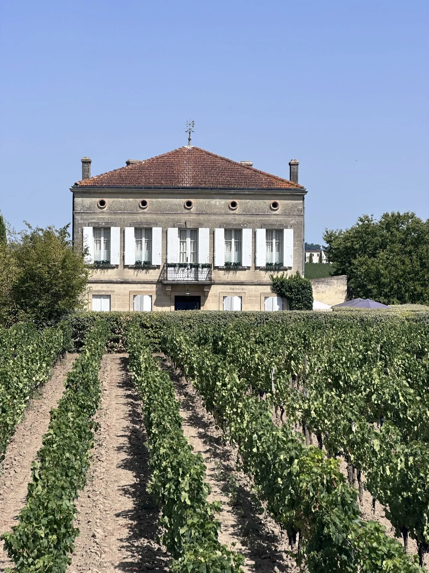 Château mit Rebzeilen bei Saint-Émilion.
