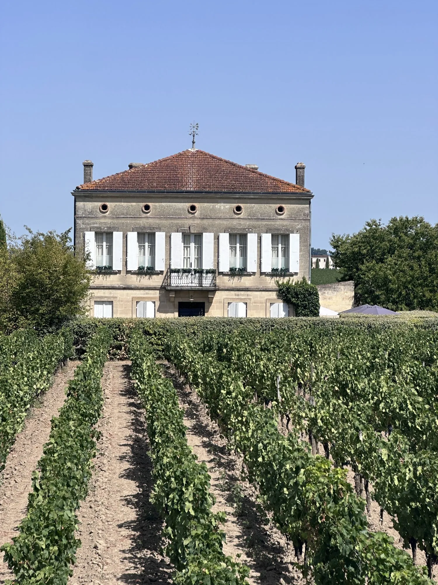Château mit Rebzeilen bei Saint-Émilion