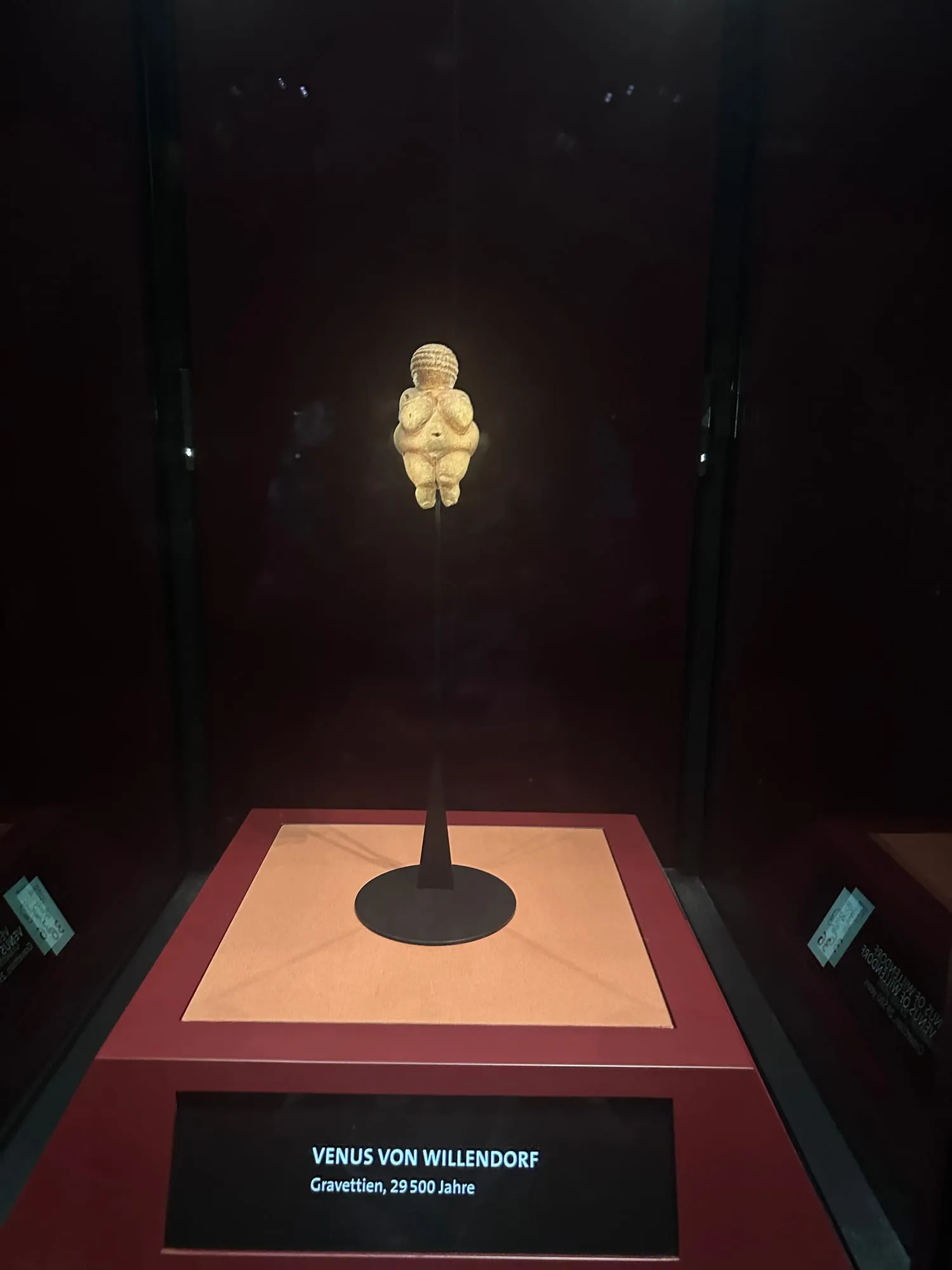 Venus von Willendorf in ihrer Vitrine im Naturhistorischen Museum.